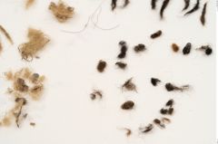Foto von Textil (NHMW-PRAE-120966)
